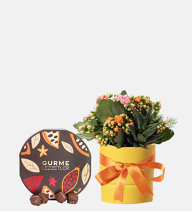 Sarı Saksıda Turuncu Kalanchoe ve Gurme Lezzetler