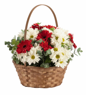 Kırmızı Gerbera ve Beyaz Papatya Çiçek Sepeti